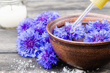 ヤグルマギク花エキス