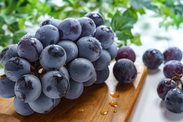 ブドウ葉エキス